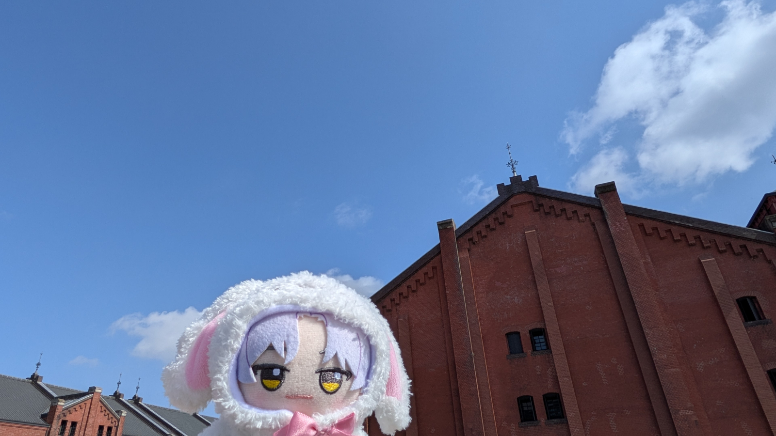 20260224-018.jpg