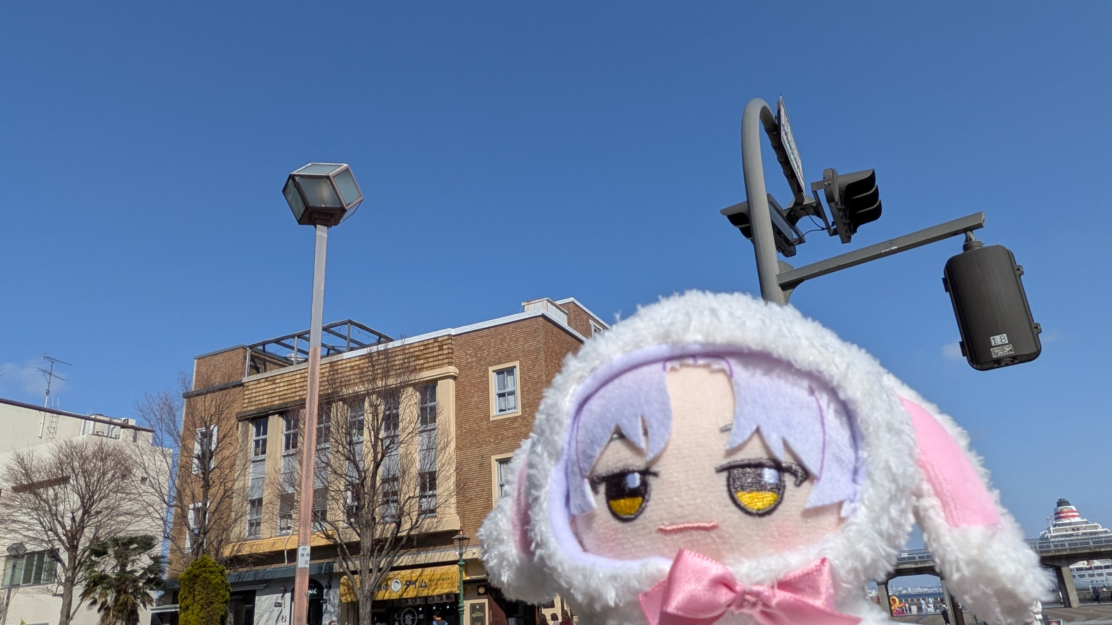 20260224-020.jpg